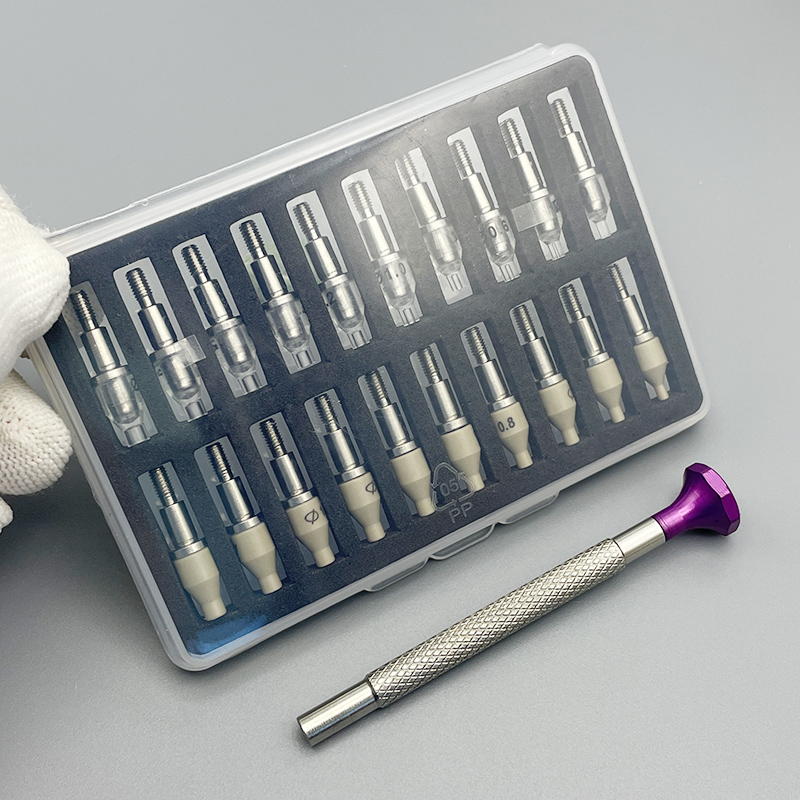 Luxury Watch Repair - Set di 20 Pezzi per l'Installazione