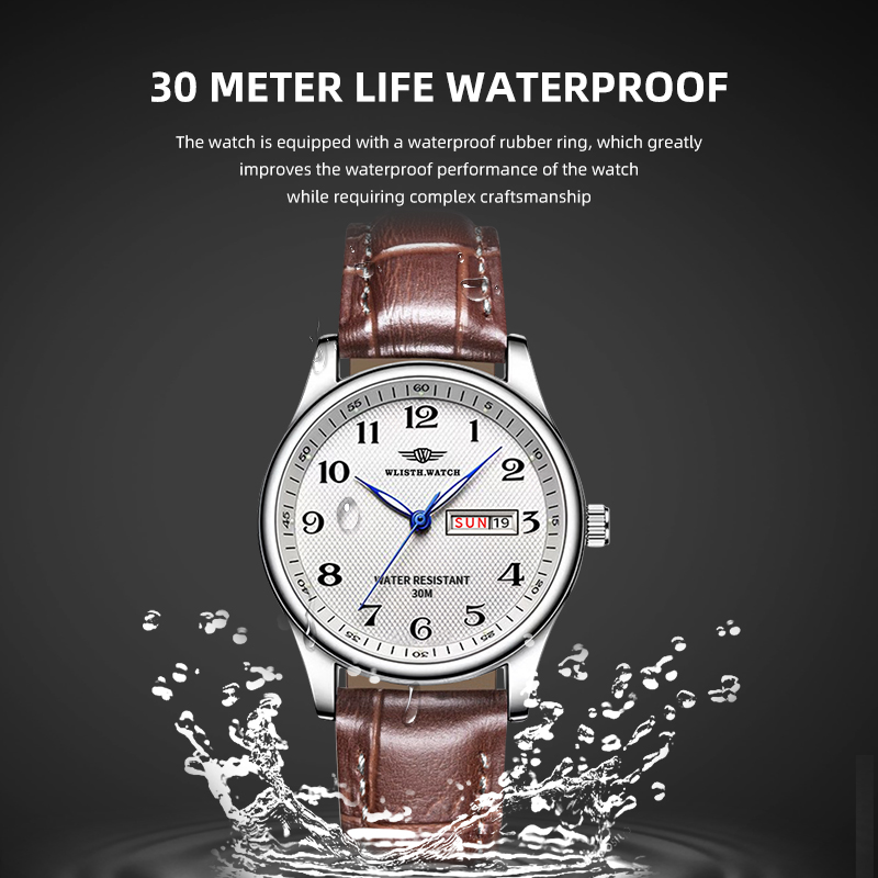 WLISTH Orologio da uomo di mar - Luxury Watch Investment recensione e prezzo